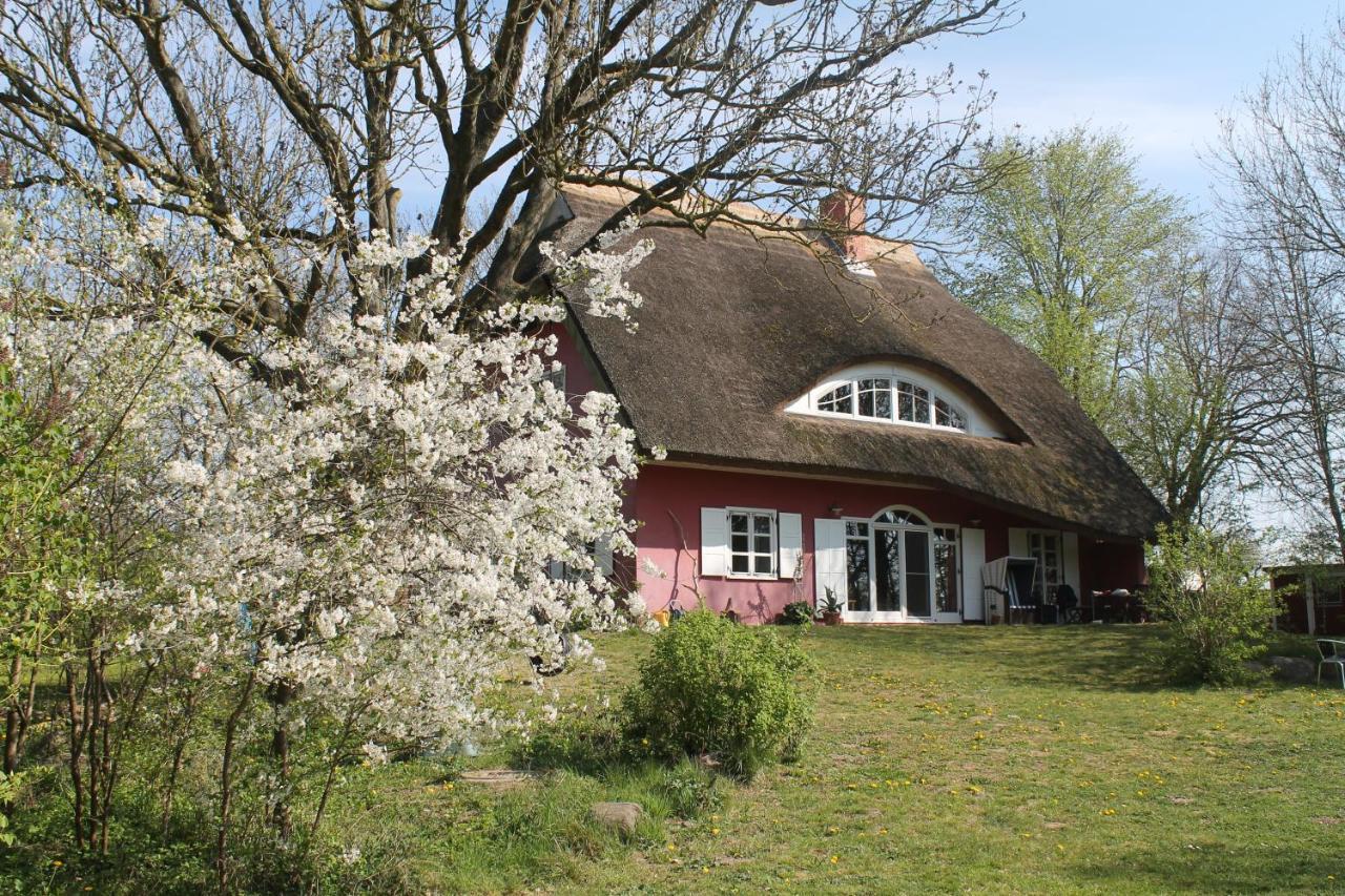Appartement Altes Waschhaus Krakvitz à Putbus Extérieur photo