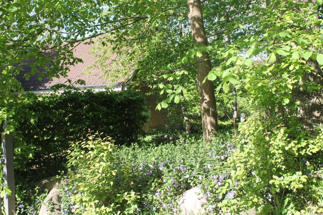 Appartement Altes Waschhaus Krakvitz à Putbus Extérieur photo